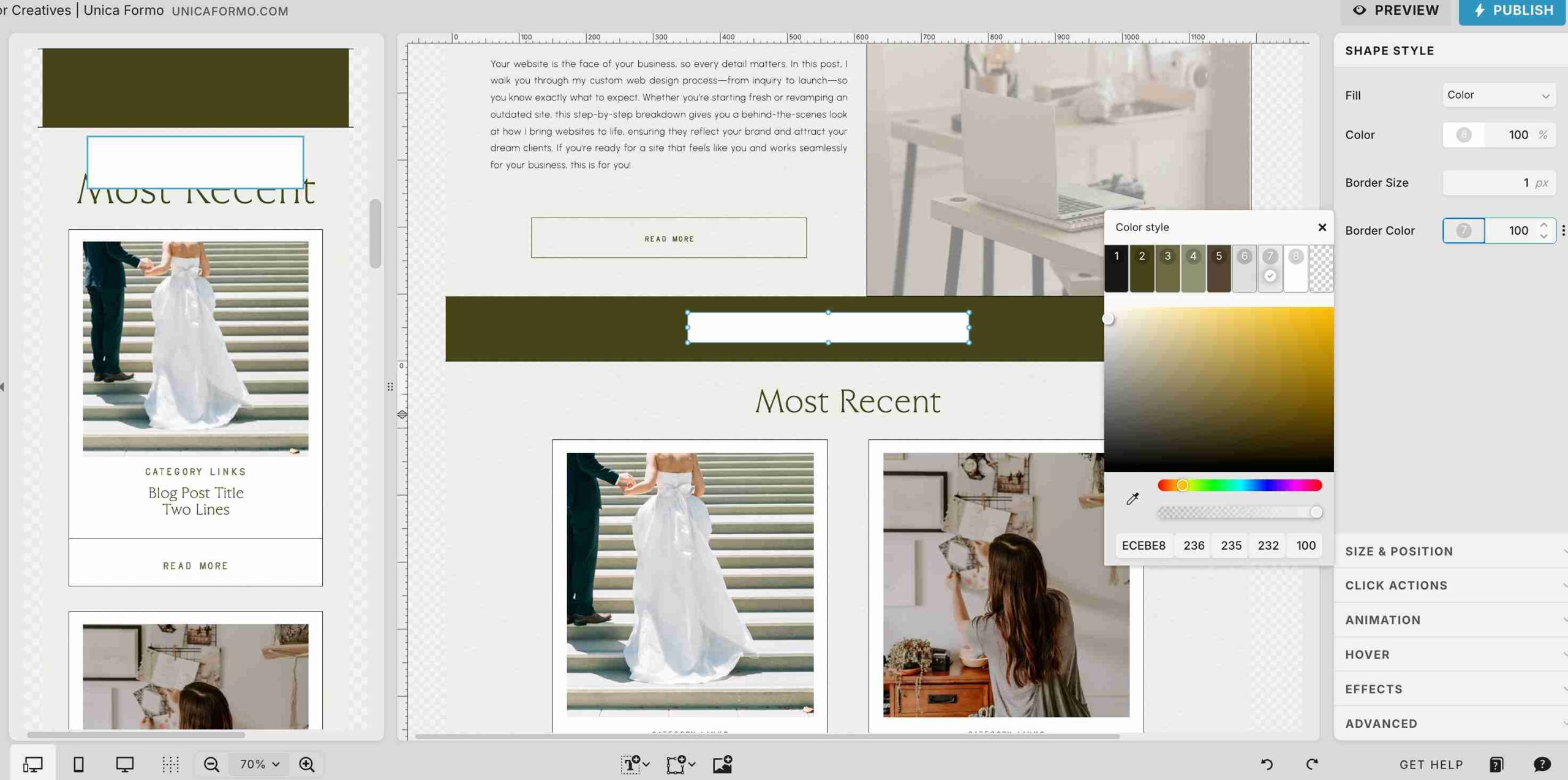How to format a rectangle on Showit