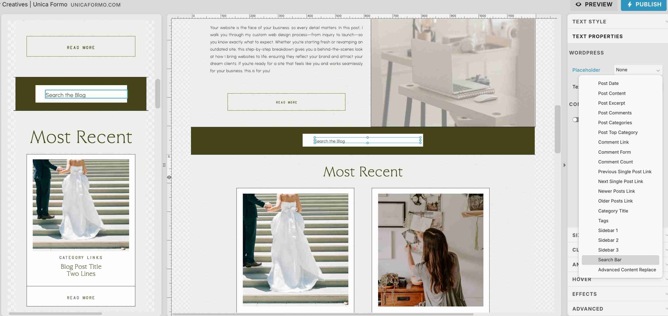 Screen shot on how to make your showit search bar function with text property settings.