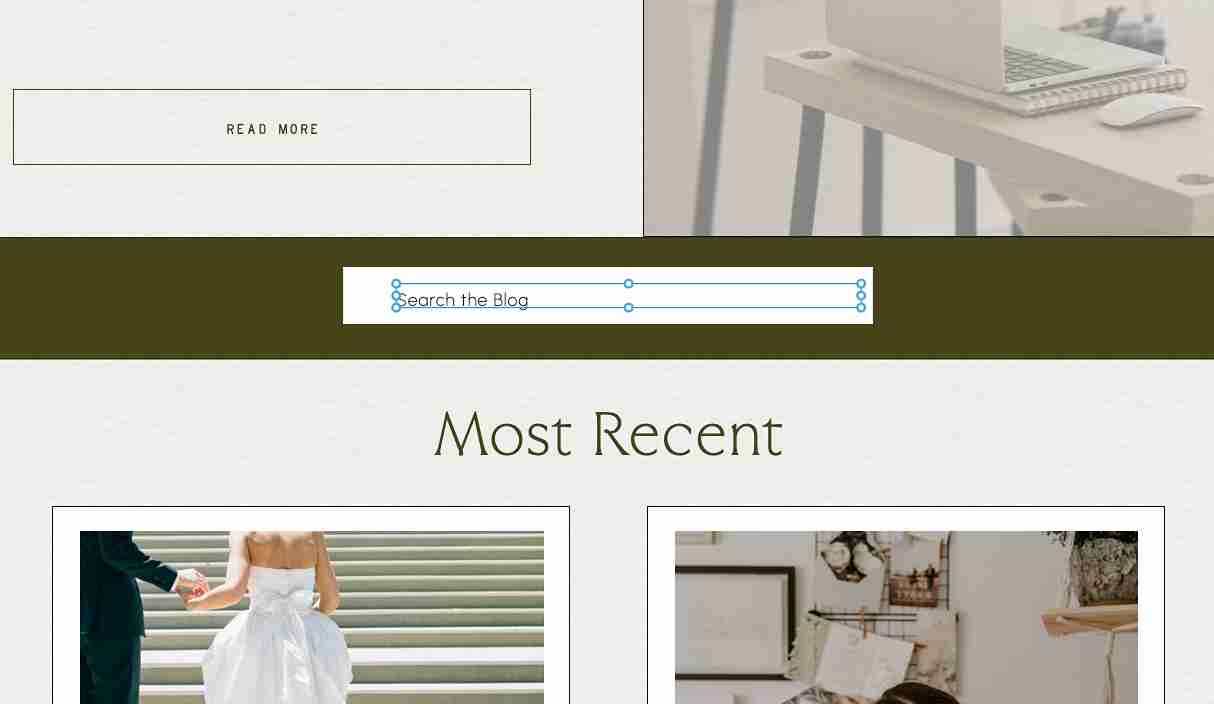 Screenshot showcasing how to add text to your showit search bar