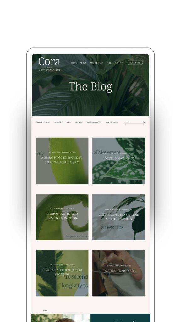 The blog that was added to a showit website for Meggie during her VIP Design Day
