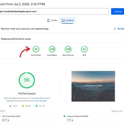page speed checker after showcasing 96 performance score.