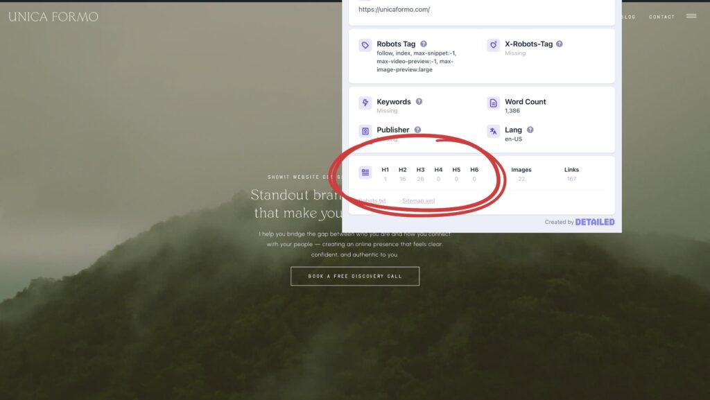 Detailed SEO Chrome extension in use.