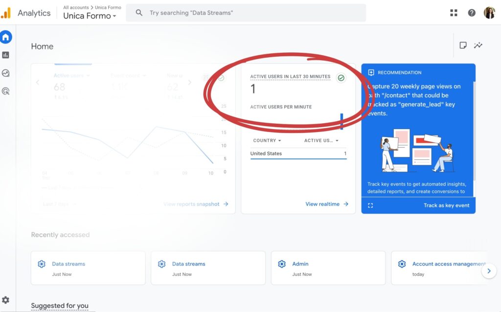 Verify your google analytics set up with showit worked by going to the reports dashboard.