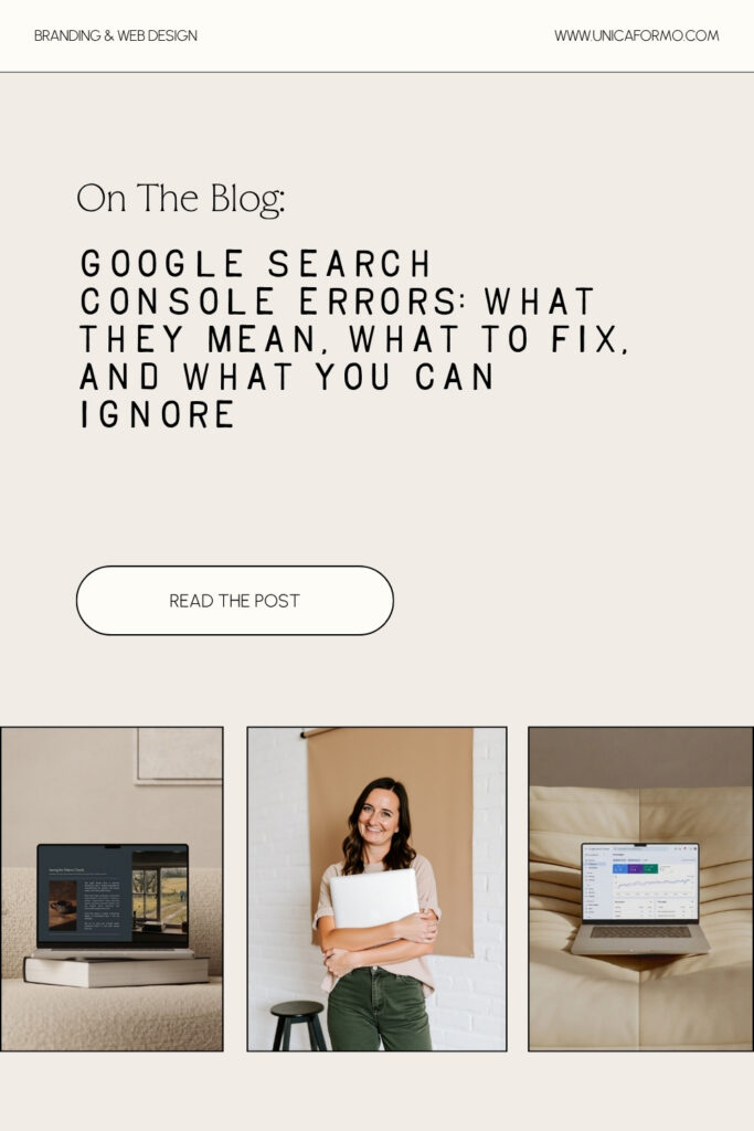 Infographic for the Blog post 'Google Search Console Errors: What They Mean, What to Fix, and What You Can Ignore'