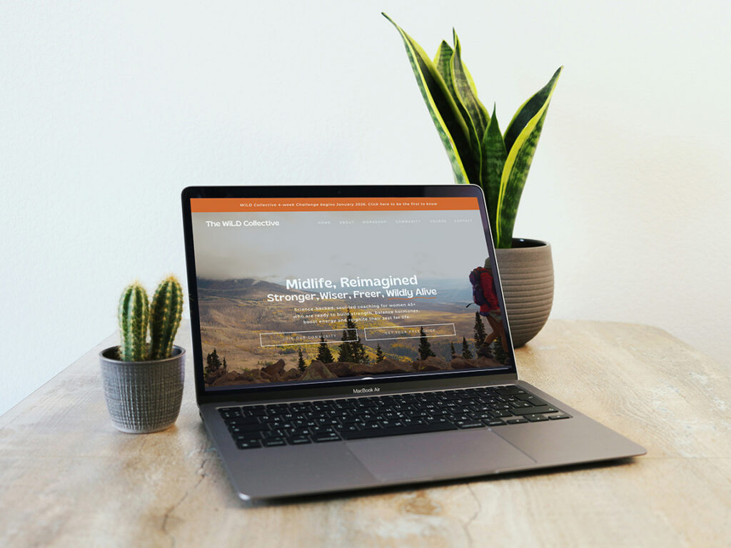 A laptop on a pale wooden table displays a climate action website over a landscape photo, flanked by potted cacti and a tall snake plant; calm, natural workspace.