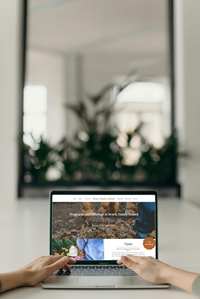 Hands rest on a laptop displaying a travel or nature webpage, with a leafy plant reflected in a mirror behind it; bright, calm home workspace.